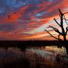 Ein Abend im Moor